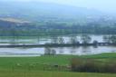 Flooded fields, stock image.