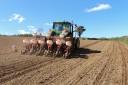 Drilling maize at the Mole Valley Farmers' trial site last spring