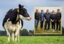 A Holstein and the inset picture shows Robert, Vicky, Anthony, Melanie and Mathew Wills (L-R). Picture: Chris Hewitt
