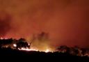 The wildfire on Godlingston Heath near Studland in November 2021