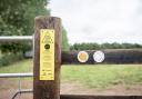 Cattle safety signs to help walkers