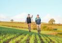 Bartholomews agronomists Richard Harris (left) and Tansel Zeadin (right) checking on crops.