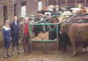 The Askew family have built up a really successful dairy herd in Devon