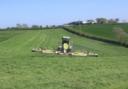 SILAGE: Invest in grass rather than trying to cut corners