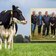 A Holstein and the inset picture shows Robert, Vicky, Anthony, Melanie and Mathew Wills (L-R). Picture: Chris Hewitt