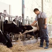 Production costs are spiralling and milk prices are variable