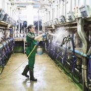 Farmers ready to quit dairy farming