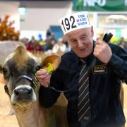 The Dairy Show's 2022 Supreme Champion, Riverside Engineer Hazelnut