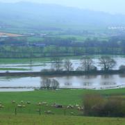 Farm flooding, stock image.