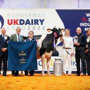 2023 Supreme Champion, with Glyn Lucas, judges and sponsors.