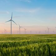 Wind turbines on farmland, stock image.