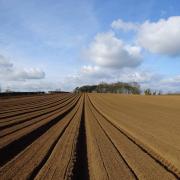 The volume of farmland available in England has started to creep up
