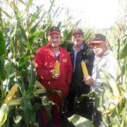 Michael Ellicott (L) main tractor driver and farm crop manager, Barry Mills and Colin Latham in a field of Benica at 600 ft.
