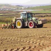 Maize trial sites drilled - at last