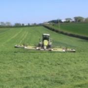 SILAGE: Invest in grass rather than trying to cut corners