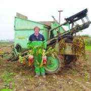 BEAT THAT: Phil White delighted with his beet crop