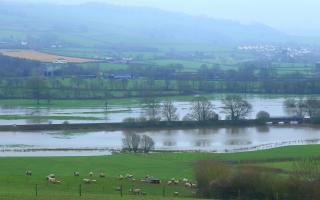 Flooding on farm, stock image.