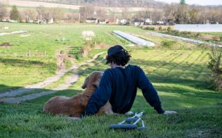 Man and his dog sat in fields, stock image.