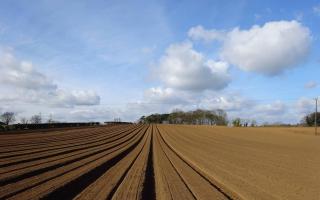 The volume of farmland available in England has started to creep up