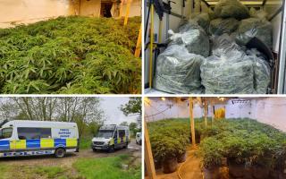 The large-scale cannabis grow was found on a farm in North Dorset