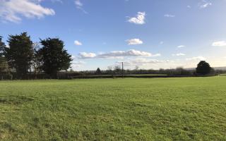 Land at West Pennard, near Glastonbury.