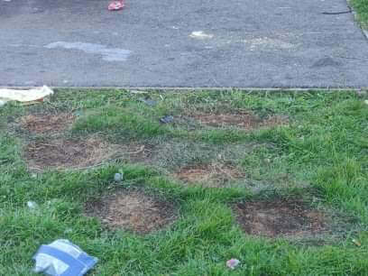 Some of the litter and the damage caused at Coronation Park.