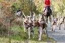 The Countryside Alliance has dubbed a petition calling to ban trail hunting on public land as 'anti-rural'  Stock picture: Getty Images