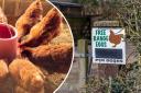 Free range egg producers are asking supermarkets to increase the prices by 40p a dozen