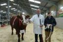 The Helston Fatstock Show is set to return next month