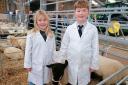 Lydia and FrederickWearne showing their sheep