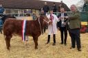 Supreme Champion – Percy Clatworthy, Mr Phil David (Judge) and Mike Butler of sponsors PKF Francis Clark