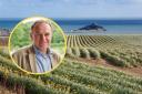 George Eustice says daffodil growers in his constituency are facing a gap of “between 30 per cent and 40 per cent of their staffing needs”