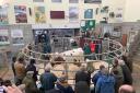 The sale ring at Sedgemoor Auction Centre