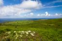 The consultation on Penwith Moors SSSI closes on February 7