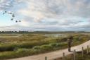 An artist's impression of The Moors at Arne