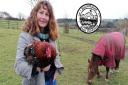 Teacher Kate Biddick has launched her business Rustikated on her smallholding