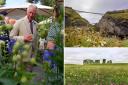 King Charles III (then the Prince of Wales) at the Duchy of Cornwall Nursery, with wildflowers at Stonehenge and Tintagel Castle