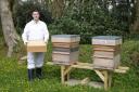 Guy with his new hives