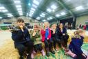 The event gives hands-on, interactive experiences about agriculture and food production