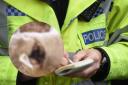 Police are appealing for information after a sheep was attacked.