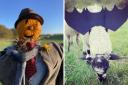 Dewflock Farm is hosting pumpkin picking and autumn fun days