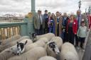 James Kittow (far left) joins the Master and other members of The Worshipful Company of Butchers as Freemen of The City whilst exercising their ancient right to drive sheep to market across the Thames toll free on Southwark Bridge.