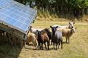 The High Penn Solar Farm in Wiltshire