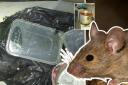 Council health inspectors found evidence of rat activity in Masooms, Wantage, in 2022 Pictures: VOWHDC, Pexels
