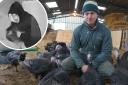 Farmer devastated after £7k worth of turkeys stolen