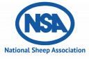 The National Sheep Association (NSA) advises sheep farmers to exercise caution after the first reported case of Bluetongue in sheep.