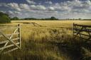 Farm gate, stock image.