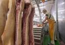Processing hours will be extended in abattoirs