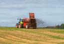 At present, farmers who want to apply organic fertiliser in the autumn for a spring crop are required to inform the EA that they have broken the law