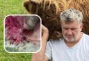 Cameron Farquharson with Gladis and inset, ewe wounds from recent attack  Pictures: Gladis Law campaign